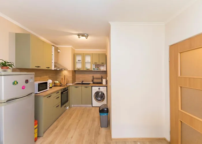 公寓 Lovely 1 Bedroom In *